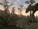 The Elder Scrolls 3: Morrowind in 14 Minuten durchgespielt [PC Games vor 5 Jahren]