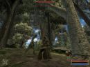 Gothic 3 setzt nicht auf Starforce als Kopierschutz [PC Games vor 5 Jahren]