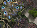 Starcraft 2: Beta-Phase bis zum 7. Juni verlängert Starcraft 2: Beta-Phase bis zum 7. Juni verlängert