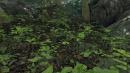 Killzone 2 meets Crysis: Erstes HD-Video + Screenshots zum 