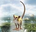 Final Fantasy XIV Online: Monster-Bilder