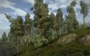 Gothic 3: Doch keine Release-Verschiebung - Rollenspiel erreicht erneut Gold-Status [PC Games vor 5 Jahren]