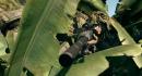 UK-Charts: Harry Potter vor Red Dead Redemtion und Mario Galaxy 2