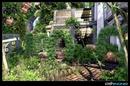 CryEngine-Projekt mit atemberaubendem Fantasy-Setting: Grafik-Designer arbeitet für Crytek