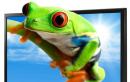 3D-Fernsehen ohne Brille: Toshiba zeigt neue TV-Technik auf der CES 2011