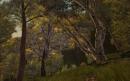 Wo ist das Spiel vor lauter Bäumen? Die schönsten Wälder der Spielegeschichte - Großes Update! Wo ist das Spiel vor lauter Bäumen? Die schönsten Wälder der Spielegeschichte - Großes Update!
