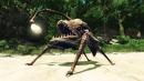Risen 2: Dark Waters - Gameplay-Trailer zeigt Magie und erläutert die Story [Video des Tages]