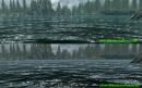 Skyrim Tuning-Guide: Flüssiger Spielen mit optimalen Grafik-Einstellungen