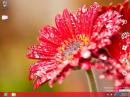 Windows 8: Neue Screenshots zum Betriebssystem - Beta startet Ende Februar