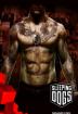 True Crime: Hong Kong - Release im August unter dem Namen Sleeping Dogs