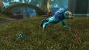 SWTOR: Entwickler entdecken seit Patch 1.2 Exploiter und Cheater besser SWTOR: Entwickler entdecken seit Patch 1.2 Exploiter und Cheater besser