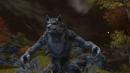 Guild Wars 2: Der Item-Shop aus der Beta im kommentierten Video - was steckt drin, was bringt er Guild Wars 2: Der Item-Shop aus der Beta im kommentierten Video - was steckt drin, was bringt er