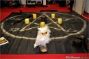 World of Warcraft: Vom Redakteur zum Cosplayer - So wird PC Games MMORE-Mann Nico zum Nachtelfen