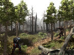 Hier sehen Sie die ersten offiziellen Screenshot zu [b]Gothic 3[/b]. Hätten Sie's erkannt?