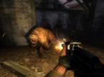Stalker: Shadow of Chernobyl erschien am 17. März 2007. Im Jahr 2011 musste GSC Gameworld Insolvenz anmelden. (4)