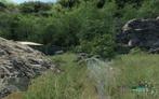 Crysis im geheimen UHQ-Modus (Bild: PCGH; bei Klick auf das Bild öffnet sich die Originalgröße von 2.560x1.600 Pixeln)