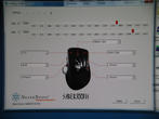 [b]Silverstones Sabertooth[/b] (Bild: PCGH)