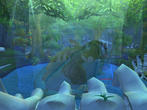 Screenshot aus World of Warcraft: Wrath of the Lich King (4) Screenshot aus World of Warcraft: Wrath of the Lich King (4)