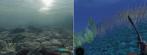 Die [b]CryEngine 1[/b] hat schon einige Jahre auf dem Buckel, dennoch hat sich ein User aus  die Arbeit gemacht, einige Vergleichsbilder von [b]Crysis[/b] (links im Bild) und [b]Far Cry (dt.)[/b] zu erstellen. Wir wünschen viel Spaß beim Durchklicken der Screenshots!