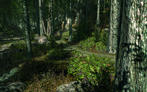 Die CryEngine 3 von Crytek. (6) Die CryEngine 3 von Crytek. (6)