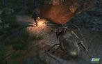 Screenshots aus Arcania: A Gothic Tale. (11)