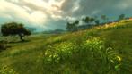 Bilder zu Guild Wars 2. (6) Bilder zu Guild Wars 2. (6)