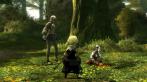 Die Beta-Server von Final Fantasy 14 Online stehen kurz vor dem Kollaps.