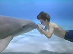 [b]Flipper[/b]: Ein Ecco the Dolphin als 3D-Remake? Womöglich mit einem Kampf gegen den Weißen Hai? Oder mt diesem als Koop-Buddygame durch die Tiefsee? Nach Schleichfahrt und zuletzt Silent Hunter könnte es mal wieder unter Wasser gehen.
