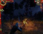 Screenshot zu The Witcher - 2007/10/thewitcher_pcgames034.jpg