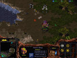 Screenshot zu Starcraft - 2008/04/StarCraft_2008-04-02_18-41-14-32.jpg