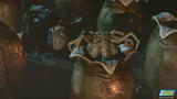 Screenshot zu Aliens: Colonial Marines - 2008/07/aliens05.jpg