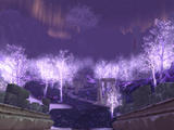 Screenshot zu World of Warcraft: Wrath of the Lich King - 2008/07/kristall1.jpg