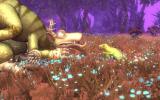 Screenshot zu Spore - 2008/07/spore_pcg_1507002.jpg