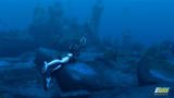 Screenshot zu Tomb Raider: Underworld - 2008/07/underworld09.jpg