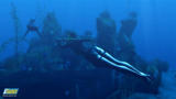 Screenshot zu Tomb Raider: Underworld - 2008/07/underworld10.jpg