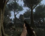 Screenshot zu Far Cry 2 - 2008/09/fc7.jpg