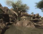 Screenshot zu Far Cry 2 - 2008/10/3_Grafik.jpg