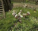 Screenshot zu Gothic 3: Götterdämmerung - 2008/10/gothic3__12_.jpg