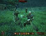 Screenshot zu Gothic 3: Götterdämmerung - 2008/11/KASTEN_Bugs.jpg