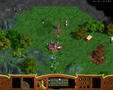 Screenshot zu Warlords Battlecry 2 - 2001/11/12574screen101001_01.jpg