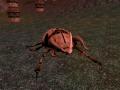 Bild 4 zu Everquest: Shadows of Luclin