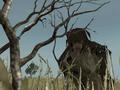 Screenshot zu Ghost Recon: Desert Siege - 2002/02/sniper2.jpg