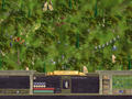 Bild 2 zu Age of Wonders 2: Der Zirkel der Zauberer