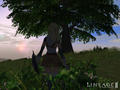Screenshot zu Lineage 2 - 2002/08/ss_full_29.jpg
