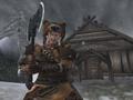 Screenshot zu The Elder Scrolls 3: Bloodmoon - 2003/02/ACFB10.jpg