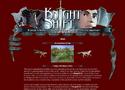 Screenshot zu Knightshift - 2003/03/ACF1270.jpg