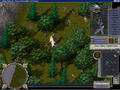 Bild 3 zu Ultima Online: Age of Shadows