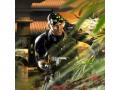 Bild 2 zu Tom Clancy's Splinter Cell: Pandora Tomorrow