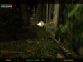 Screenshot zu Day of Defeat - 2003/06/dod_forest0002.jpg