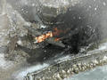 Screenshot zu Commandos 3: Destination Berlin - 2003/11/4_screenshot1.JPG